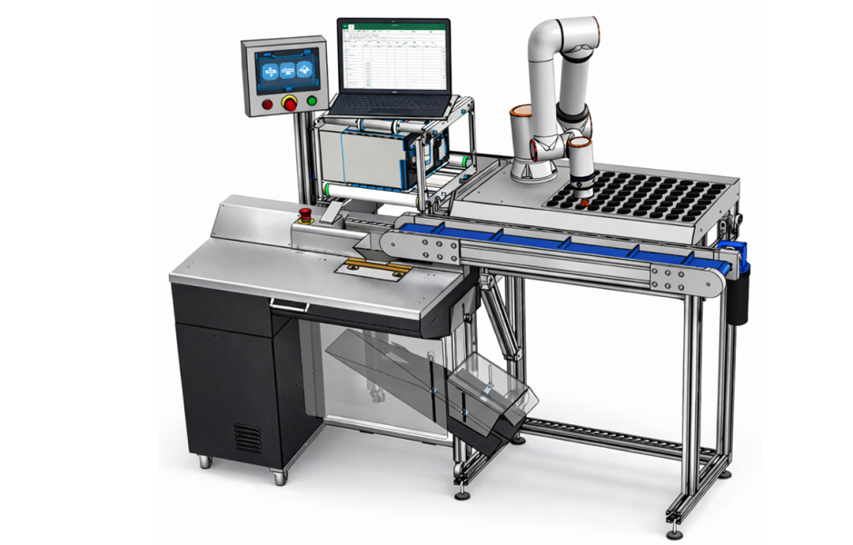 Rendering con optionals - finalizzato OK - 1170 x 745